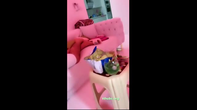 Ilcin Karagoz: Tango Sampanya Sayip İnleme İfşa | HD İzle